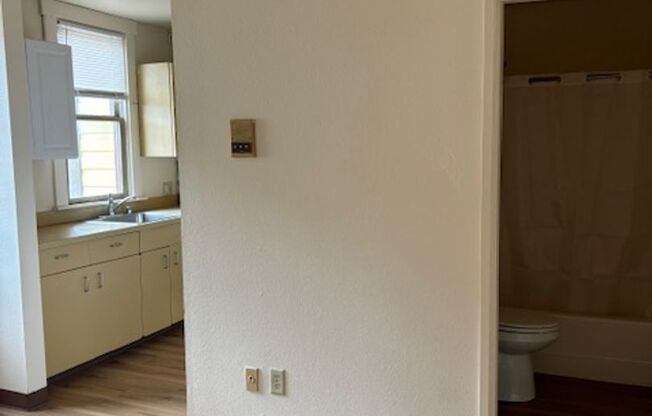 Studio, 1 bath, 288 sqft, $1,233, Unit Rialto 509