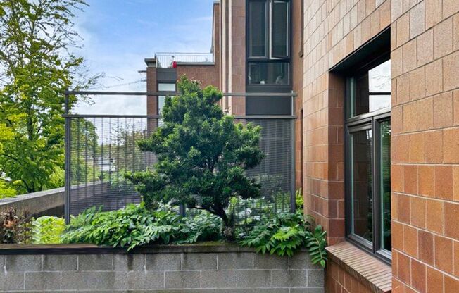 1 bed, 1 bath, 609 sqft, $1,316, Unit 209