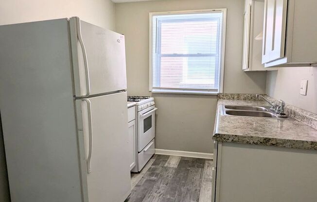 1 bed, 1 bath, 650 sqft, $725