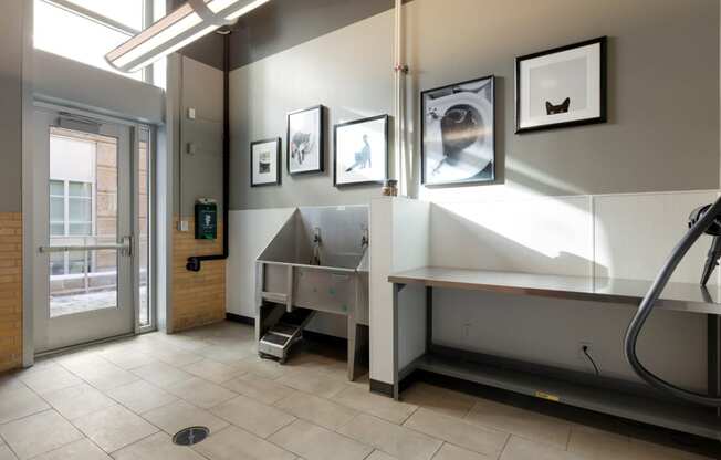 Dog Wash Station at Custom House, St. Paul