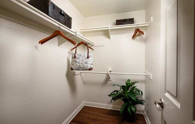 Walk in closet with a plant and a bag hanging on the wall