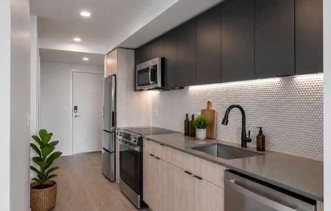 1 bed, 1 bath, 421 sqft, $1,495, Unit 307