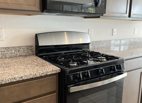 19736 LONESOME PINE DR