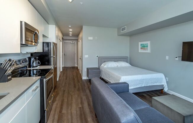 Studio, 1 bath, 439 sqft, $1,995, Unit 221