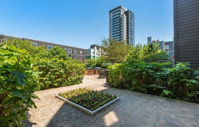 a rooftop garden with city buildings in the background