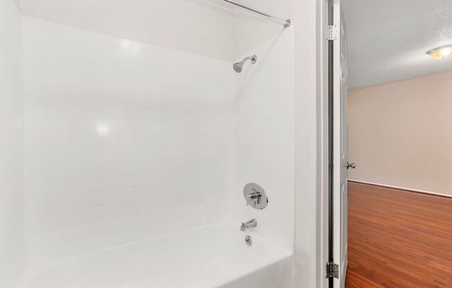 Newbury Park Apartment  Bathtub