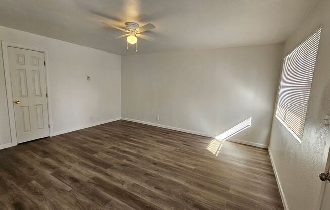 NSUR1257 3009  Rose 9-15