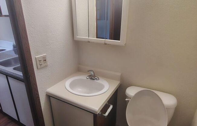 Studio, 1 bath, 288 sqft, $800, Unit Unit 208