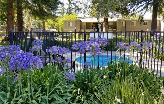 1 bed, 1 bath, 700 sqft, $1,595, Unit 099
