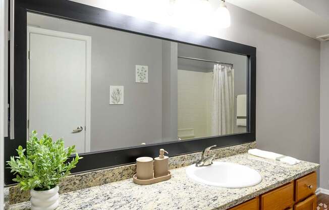 A bathroom with a sink, mirror, and a potted plant.