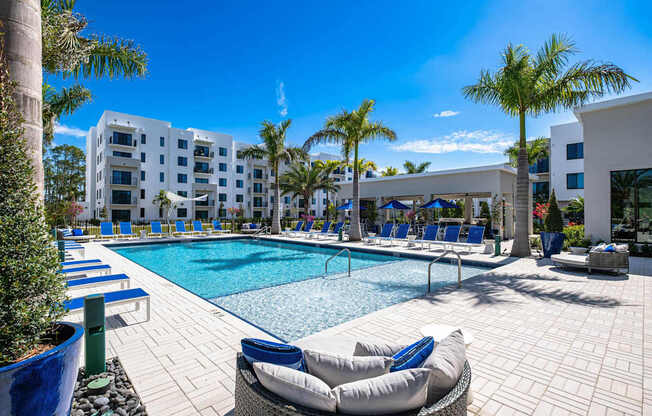 A pool area with lounge chairs and palm trees.