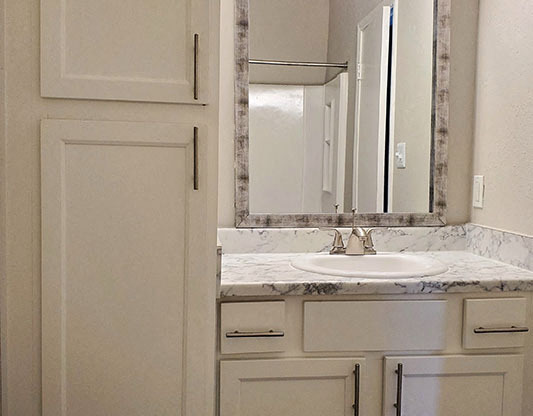 Bathroom vanity with cupboard