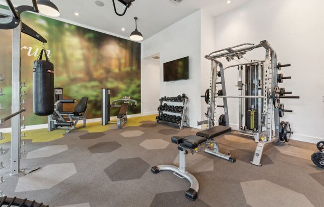 a home gym with weights and exercise equipment and a painting on the wall