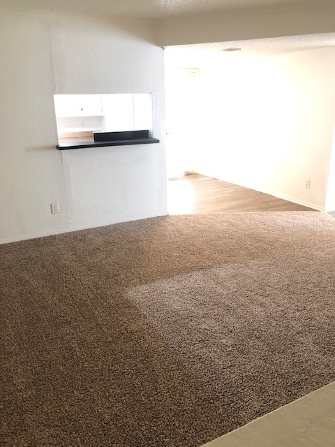 1505 N Locust #7
