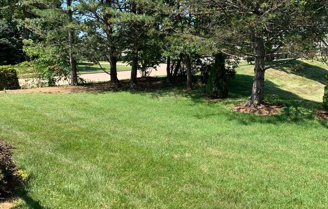 Beautiful House in nice family neighborhood!