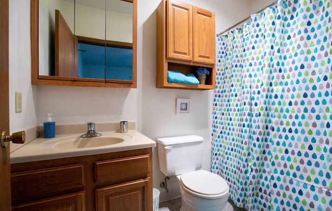 Studio, 1 bath, $1,145