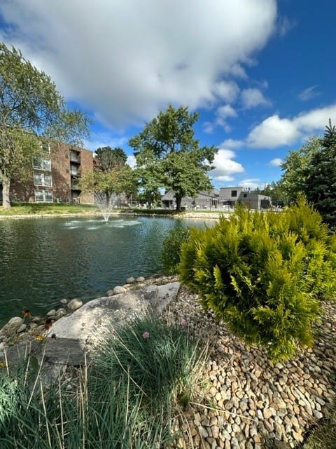 Pond Views