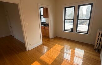 COURT APARTMENTS - 3919-27 N. Pine Grove; 3933-35 N. Pine Grove Chicago, IL 60613