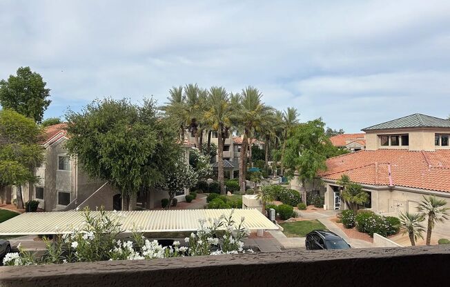 1 bed, 1 bath, $1,295, Unit # 3174
