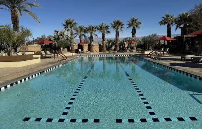 a large swimming pool with palm trees in the background