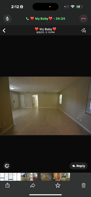 1315 VIBURNUM LN