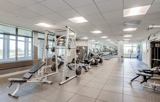 a row of exercise equipment in a fitness center with windows