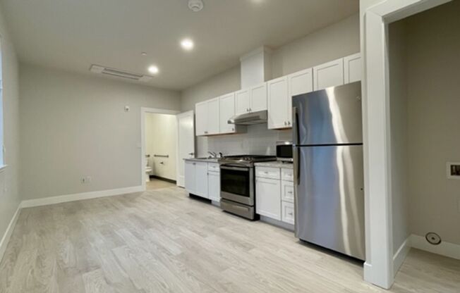 Single Level ADA Compliant Apartment in the Brand-New Construction Ironworks Building with Air Conditioning