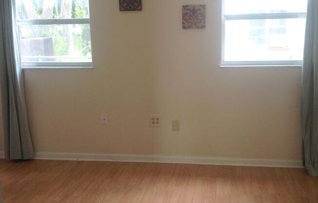 Spacious Remodeled 1BR/1BA  Apartment with Beautiful New LVT Flooring