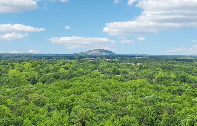 Arabia Mountain National Heritage area