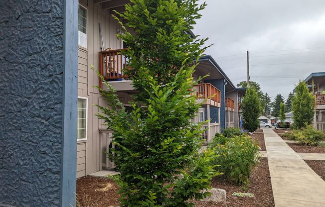 Celebration Park Apts