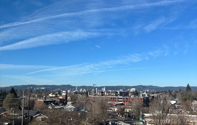 Studio, 1 bath, 260 sqft, $1,090, Unit 502