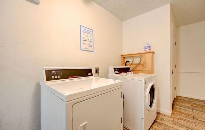 1 bed, 1 bath, 500 sqft, $850, Unit #312