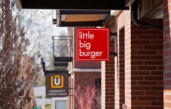 Little Big Burger