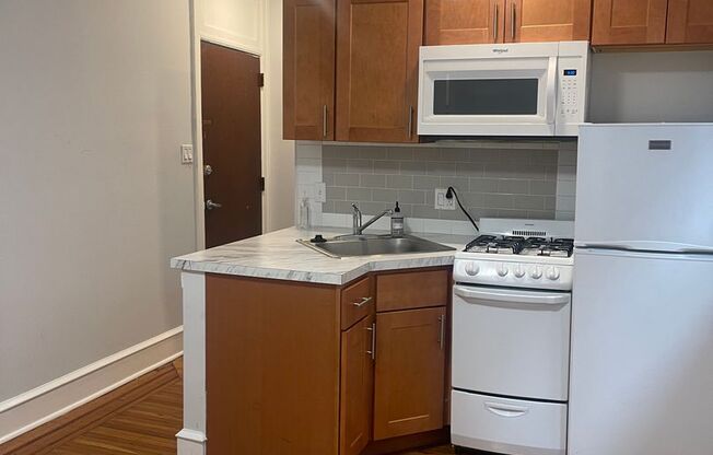 Studio, 1 bath, 330 sqft, $875, Unit 204