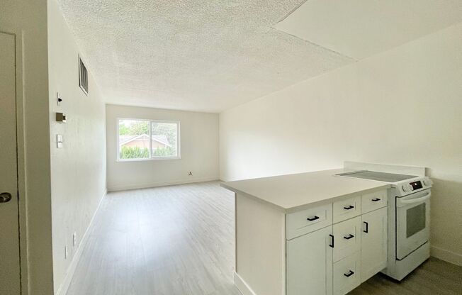 1 bed, 1 bath, 600 sqft, $1,750, Unit 307
