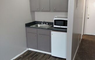 Studio, 1 bath, 328 sqft, $925, Unit 247