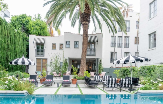 Pool With Palm Tree at Villa Carlotta – Furnished Apartments, California