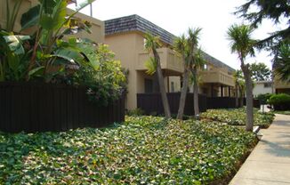 Mediterranean Apartments