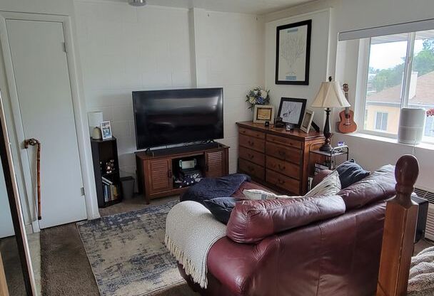Studio, 1 bath, $1,065, Unit 308