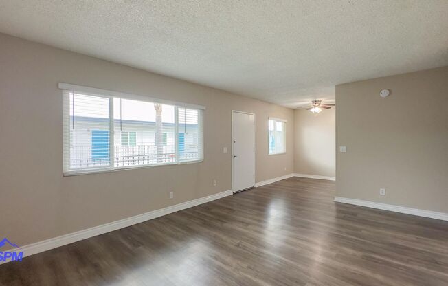 Imperial Beach Palms