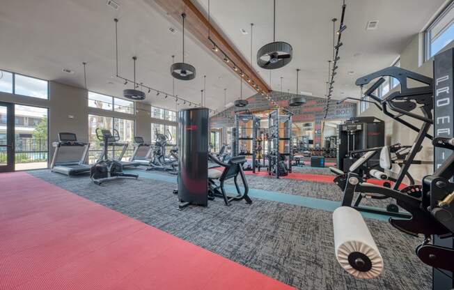 Fitness Center With Modern Equipment at Retreat at the Rim, San Antonio, Texas