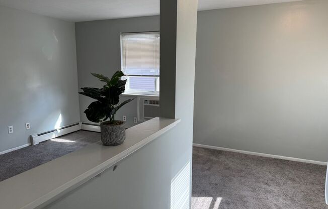 1 bed, 1 bath, $800, Unit Unit 4