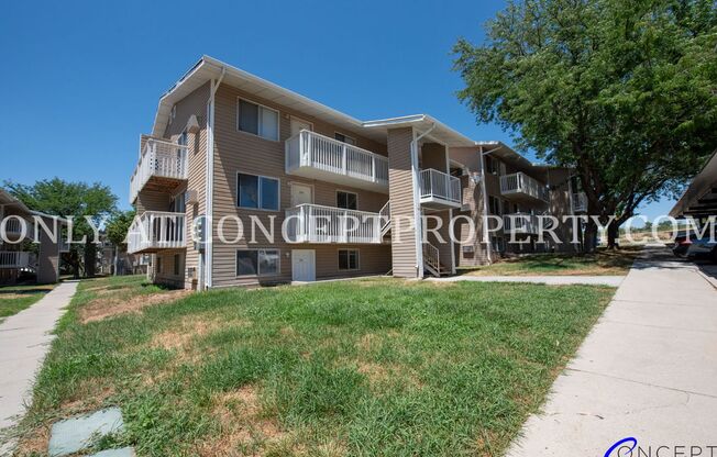 1 bed, 1 bath, 480 sqft, $899, Unit 218