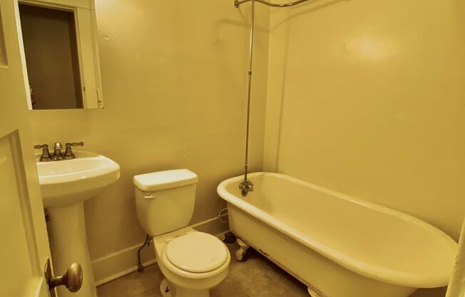 1 bed, 1 bath, 505 sqft, $1,495, Unit 15