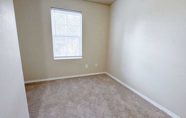 Studio, 1 bath, 146 sqft, $1,125, Unit 1D