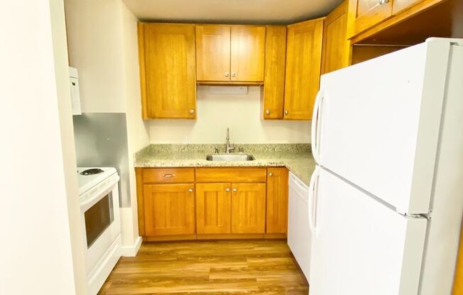 1 bed, 1 bath, 495 sqft, $1,595, Unit 303