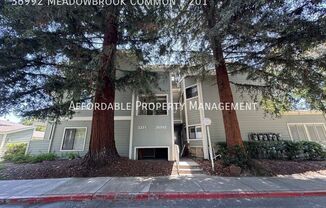 36992 Meadowbrook Cmn 102