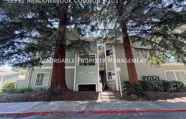 36992 Meadowbrook Cmn 102