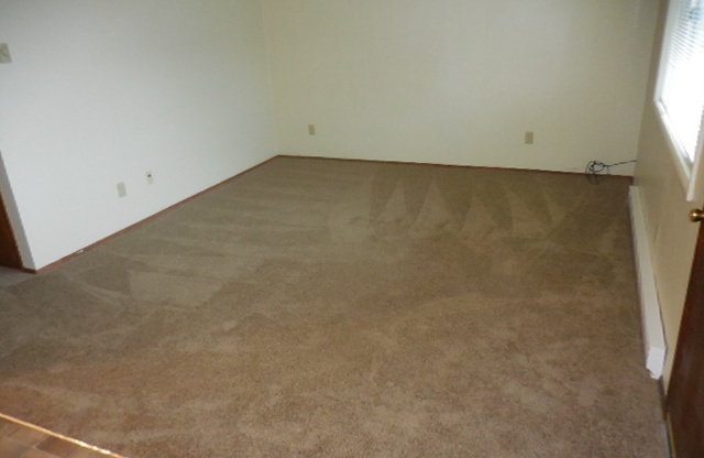 (248) BeVille Apartments - 1 Bedroom / 1 Bathroom