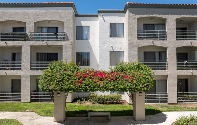 A row of white apartment buildings with balconies and a bench under a tree with red flowers.